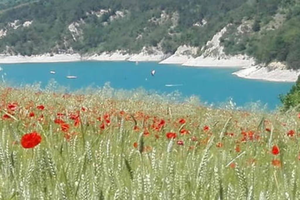 Gite De Charme : La Grange Au Lac Azur Treffort  Zewnętrze zdjęcie