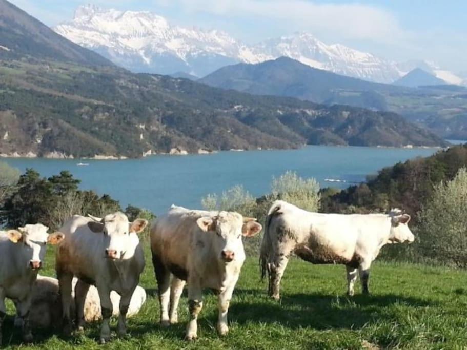 Gite De Charme : La Grange Au Lac Azur Treffort  Zewnętrze zdjęcie